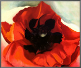 Poppy Framed Canvas Print by Georgia O'Keeffe