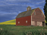 Red Barns and Canola Fields, Eastern Washington, USA Photographic Print by Darrell Gulin