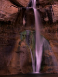 Oasis in the Dry Desert, Utah, USA Photographie par Jerry Ginsberg