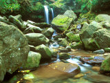Grotto Falls, Great Smoky Mountains National Park, Tennessee, USA Lámina fotográfica por Rob Tilley