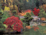 Kiri Pond and Bridge in a Japanese Garden, Spokane, Washington, USA Photographic Print by Jamie & Judy Wild