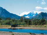Float Plan on Salmon Stream, Katmai National Park, Alaska, USA Photographic Print by Dee Ann Pederson