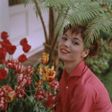 Portrait of Actress Elsa Martinelli Reproduction photographique sur papier de qualité par Ralph Crane