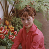 Portrait of Actress Elsa Martinelli Reproduction photographique sur papier de qualité par Ralph Crane