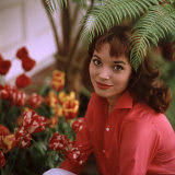 Portrait of Actress Elsa Martinelli Reproduction photographique sur papier de qualité par Ralph Crane