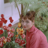 Portrait of Actress Elsa Martinelli Premium Photographic Print by Ralph Crane