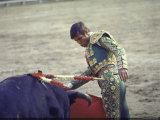Bullfighter Manuel Benitez, Known as "El Cordobes", in the Ring Premium Photographic Print by Loomis Dean