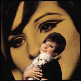 Singer and Actress Barbra Streisand Holding Small Dog in Her Arms Premium Photographic Print by Bill Eppridge
