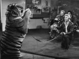 Animal Trainer Gunther Gebel Williams on "Panorama" with Guest Martha Mitchell and Maury Povich Premium Photographic Print by Walter Bennett