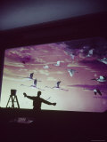 Silhouetted man against mural of flying birds buring spring cleaning at Museum of Natural History Premium Photographic Print by Jack Birns