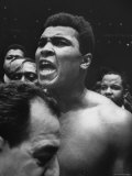 World Heavyweight Champion, Cassius M. Clay, After Winning Bout Against Cleveland Williams Premium Photographic Print by Bob Gomel