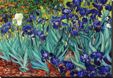 Irises, Saint-Remy, c.1889 Stretched Canvas Print by Vincent van Gogh