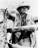 Charles Bronson Photo