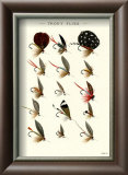 Trout Flies II Posters