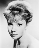 Hayley Mills Photographie