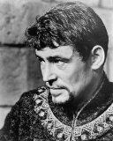 Peter O'Toole Photo