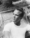 ハリー・ベラフォンテ 写真