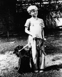 Jay North Photo
