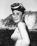 Stefanie Powers Photo Stefanie Powers Photo