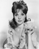 Elsa Martinelli Photo