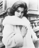 Shirley Anne Field Photo