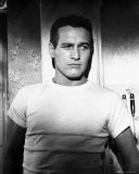 Paul Newman Photo