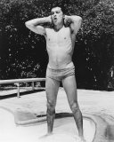 Alain Delon Photographie