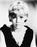 Hayley Mills Photographie