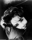 Elizabeth Taylor Photo Elizabeth Taylor Photo