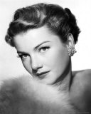 Anne Baxter Photographie