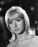 Angela Douglas Photographie