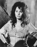 Sophia Loren Foto
