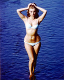 Barbara Bouchet Photographie
