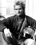 Sting Photo