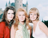 The Pleasure Seekers Photo