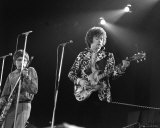 Cream Photo