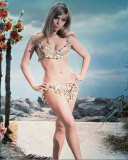 Edina Ronay 写真