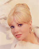 Hayley Mills Photographie