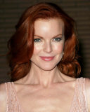 Marcia Cross Photo