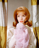 Elsa Martinelli Photographie