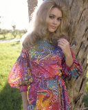 Alexandra Bastedo Photo