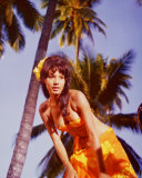 Rosenda Monteros Fotografía