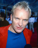 Sting Photographie
