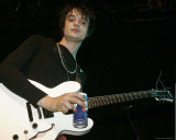 Baby Shambles Photo