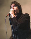 The Strokes Photo The Strokes Photo