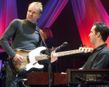 Sting Photo