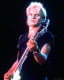 Sting Photographie
