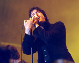 The Strokes Photo