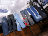 High Priced Jeans Hanging on a Line Premium Photographic Print by Ted Thai