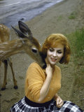 Gina Lollobrigida Feeding and Petting a Fawn Premium Photographic Print by Peter Stackpole